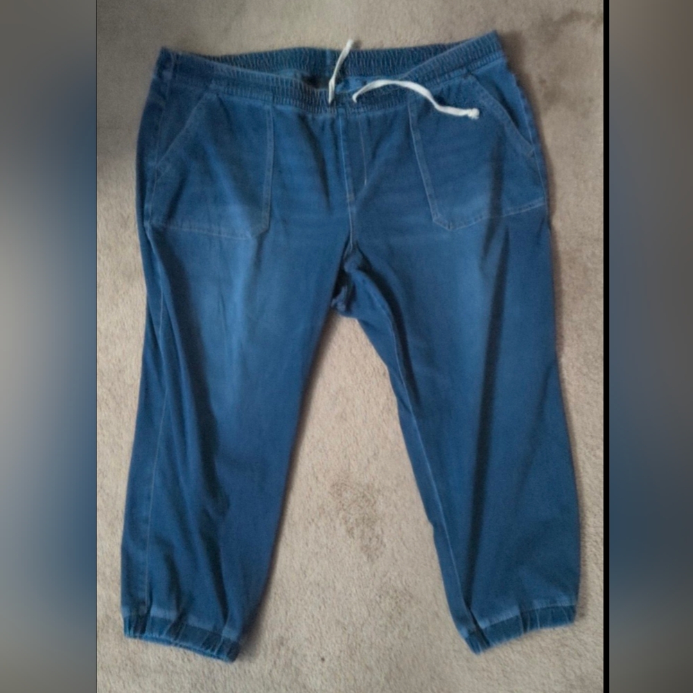 Lane Bryant Super Soft Boyfriend Joggers